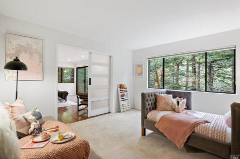 21 Renz Rd, Mill Valley, CA 94941 photo 53