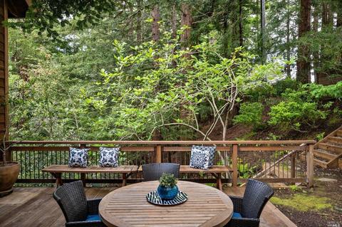 21 Renz Rd, Mill Valley, CA 94941 photo 67