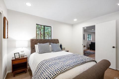 21 Renz Rd, Mill Valley, CA 94941 photo 76