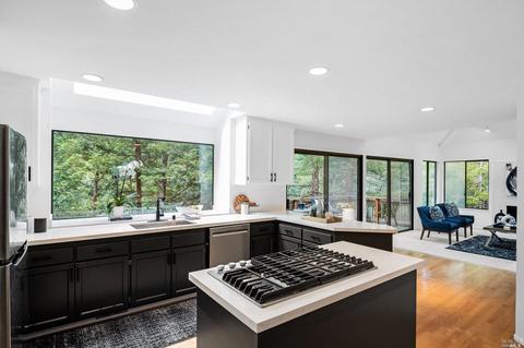 21 Renz Rd, Mill Valley, CA 94941 photo 25