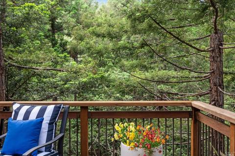 21 Renz Rd, Mill Valley, CA 94941 photo 41