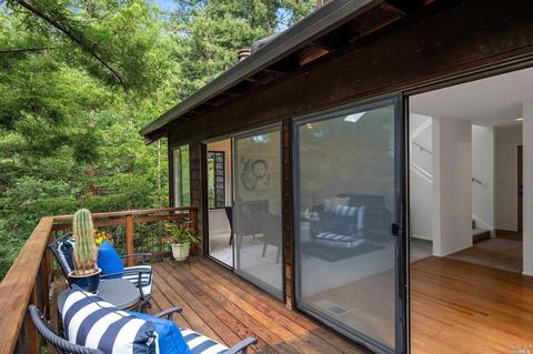 21 Renz Rd, Mill Valley, CA 94941 photo 40