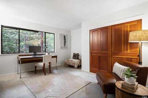 21 Renz Rd, Mill Valley, CA 94941 photo 59