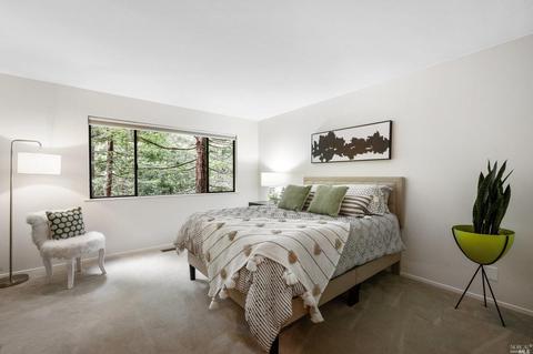 21 Renz Rd, Mill Valley, CA 94941 photo 56