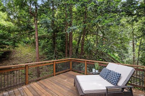 21 Renz Rd, Mill Valley, CA 94941 photo 22