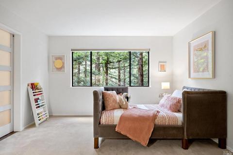 21 Renz Rd, Mill Valley, CA 94941 photo 54