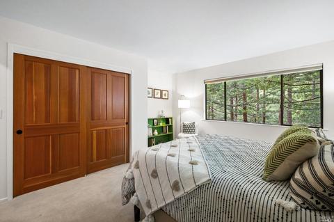 21 Renz Rd, Mill Valley, CA 94941 photo 57