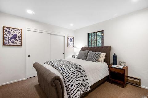 21 Renz Rd, Mill Valley, CA 94941 photo 75