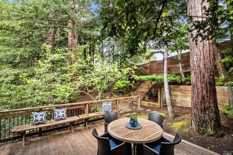 21 Renz Rd, Mill Valley, CA 94941 photo 66