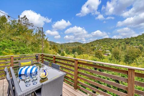 189 Circle Ave, Mill Valley, CA 94941 photo 26