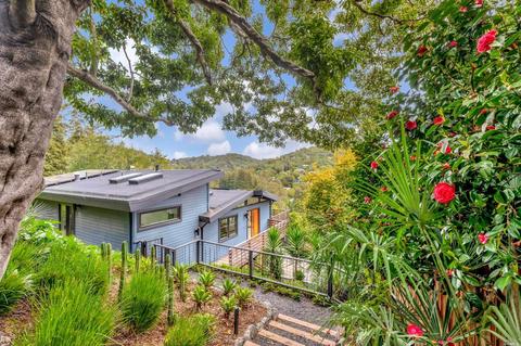 189 Circle Ave, Mill Valley, CA 94941 photo 35