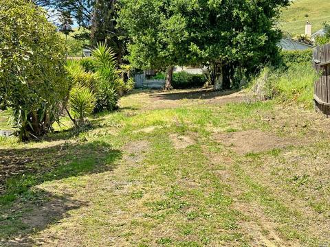 30 Shell Rd, Mill Valley, CA 94941 photo 3