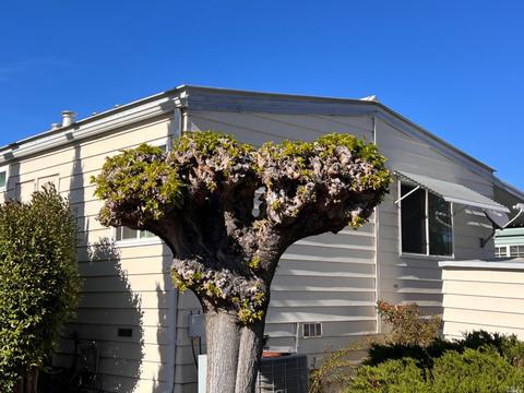 386 Circulo Lacruz, Rohnert Park, CA 94928