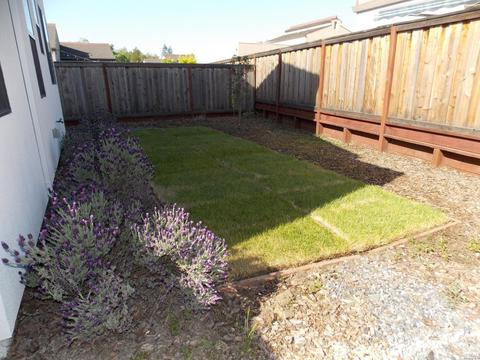 1342 Calabazas Dr, Windsor, CA 95492 photo 75