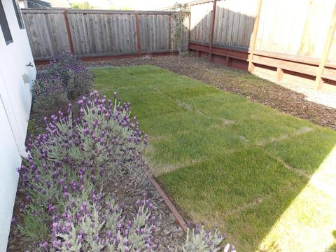 1342 Calabazas Dr, Windsor, CA 95492 photo 76