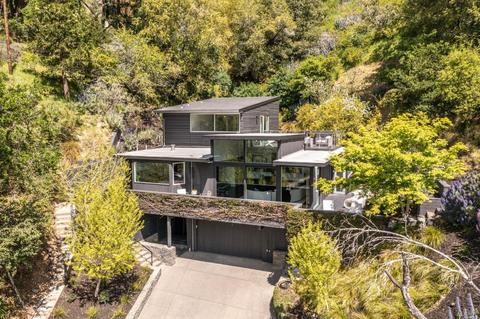 70 Bolsa Ave, Mill Valley, CA 94941 photo 68