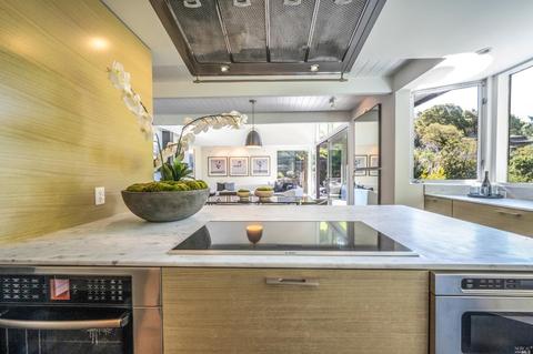 70 Bolsa Ave, Mill Valley, CA 94941 photo 18