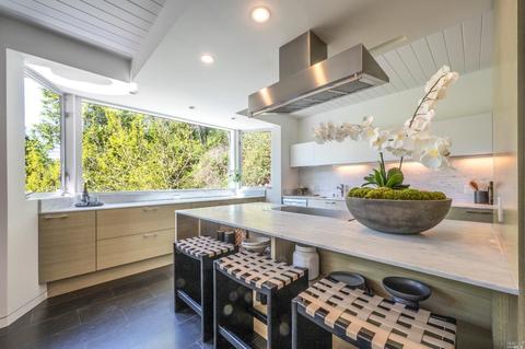 70 Bolsa Ave, Mill Valley, CA 94941 photo 17
