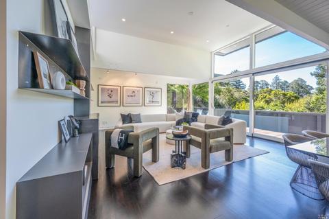 70 Bolsa Ave, Mill Valley, CA 94941 photo 4