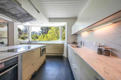 70 Bolsa Ave, Mill Valley, CA 94941 photo 20