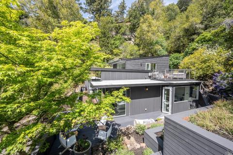 70 Bolsa Ave, Mill Valley, CA 94941 photo 51
