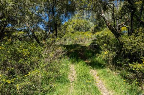 15400 Bittner Rd, Occidental, CA 95465 photo 51