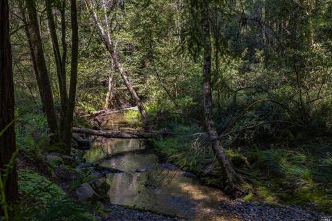 15400 Bittner Rd, Occidental, CA 95465 photo 3