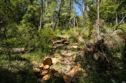 15400 Bittner Rd, Occidental, CA 95465 photo 48