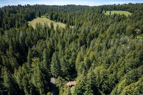 15400 Bittner Rd, Occidental, CA 95465 photo 47