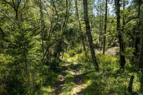 15400 Bittner Rd, Occidental, CA 95465 photo 50