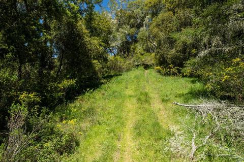 15400 Bittner Rd, Occidental, CA 95465 photo 49