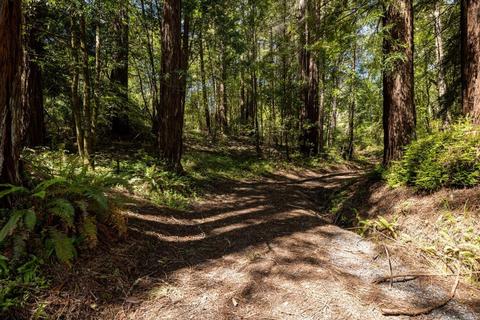 15400 Bittner Rd, Occidental, CA 95465 photo 36