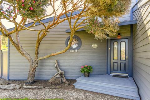 43801 Sea Cypress Dr, Manchester, CA 95459