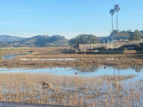 141 Yolo St, Corte Madera, CA 94925 photo 63