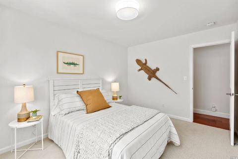 141 Yolo St, Corte Madera, CA 94925 photo 36