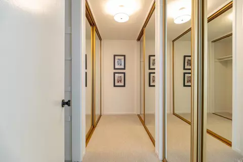 320 Ricardo Rd, Mill Valley, CA 94941 photo 23