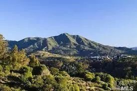 320 Ricardo Rd, Mill Valley, CA 94941 photo 53