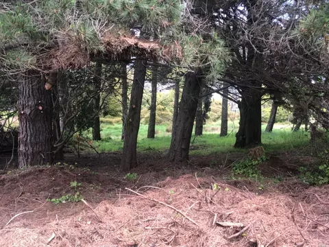 150 Pine Rd, Bolinas, CA 94924