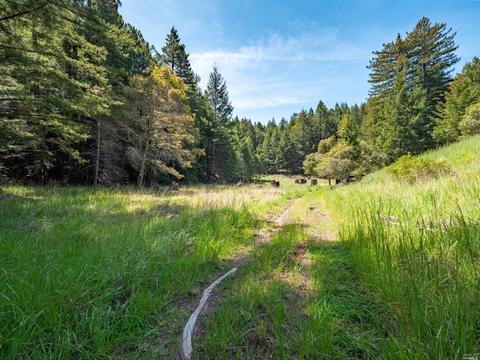 19550 Gschwend Rd, Philo, CA 95466 photo 44