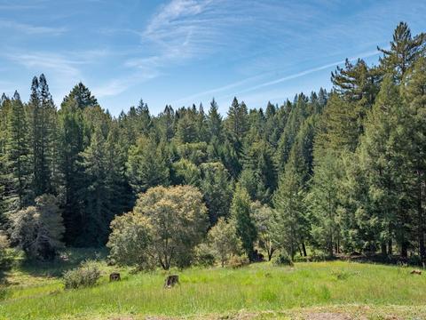 19550 Gschwend Rd, Philo, CA 95466 photo 34
