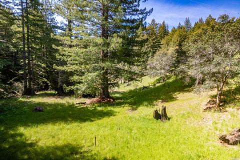 19550 Gschwend Rd, Philo, CA 95466 photo 48
