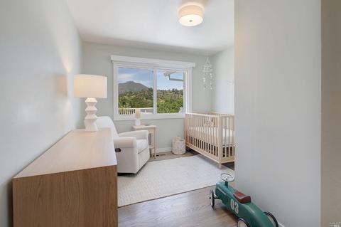 46 Longfellow Rd, Mill Valley, CA 94941 photo 31