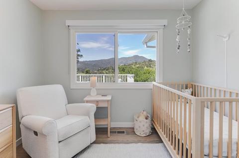 46 Longfellow Rd, Mill Valley, CA 94941 photo 30
