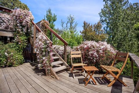 12 Washington Park Ave, Mill Valley, CA 94941 photo 31