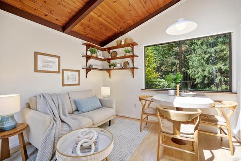 12 Washington Park Ave, Mill Valley, CA 94941 photo 23