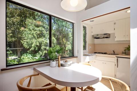 12 Washington Park Ave, Mill Valley, CA 94941 photo 25