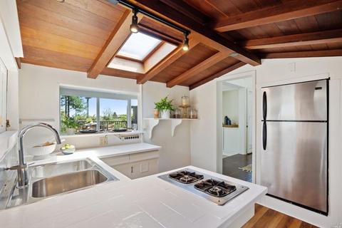 12 Washington Park Ave, Mill Valley, CA 94941 photo 4