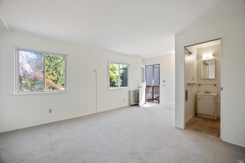 12 Washington Park Ave, Mill Valley, CA 94941 photo 29