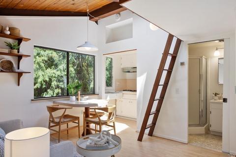 12 Washington Park Ave, Mill Valley, CA 94941 photo 21