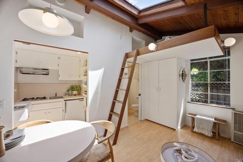 12 Washington Park Ave, Mill Valley, CA 94941 photo 24